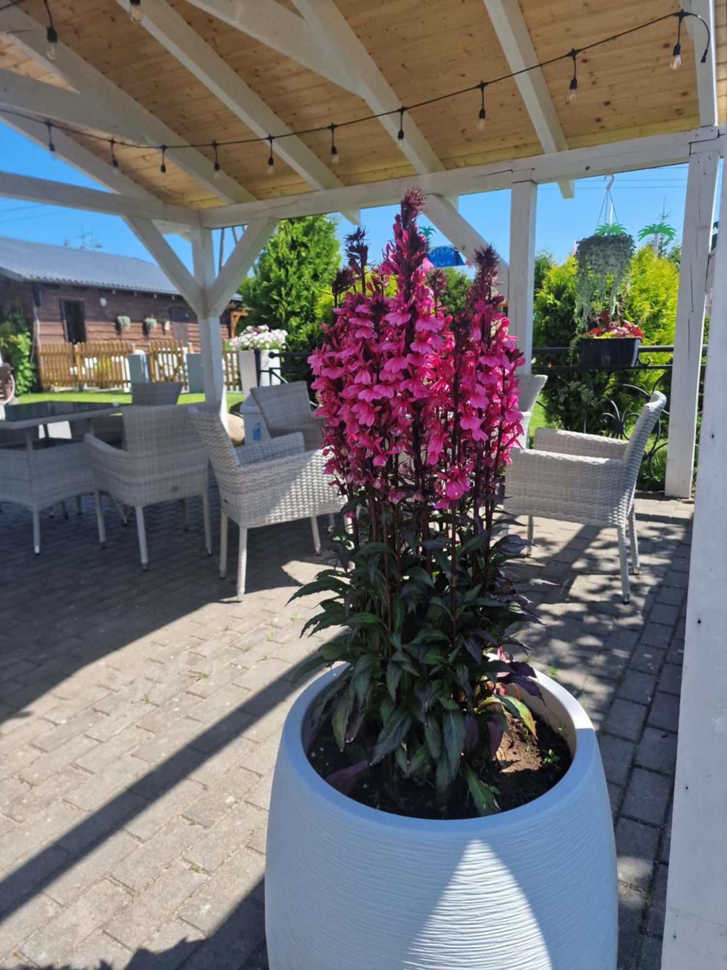 Villa Dolce Vita Łeba Eksteriør billede